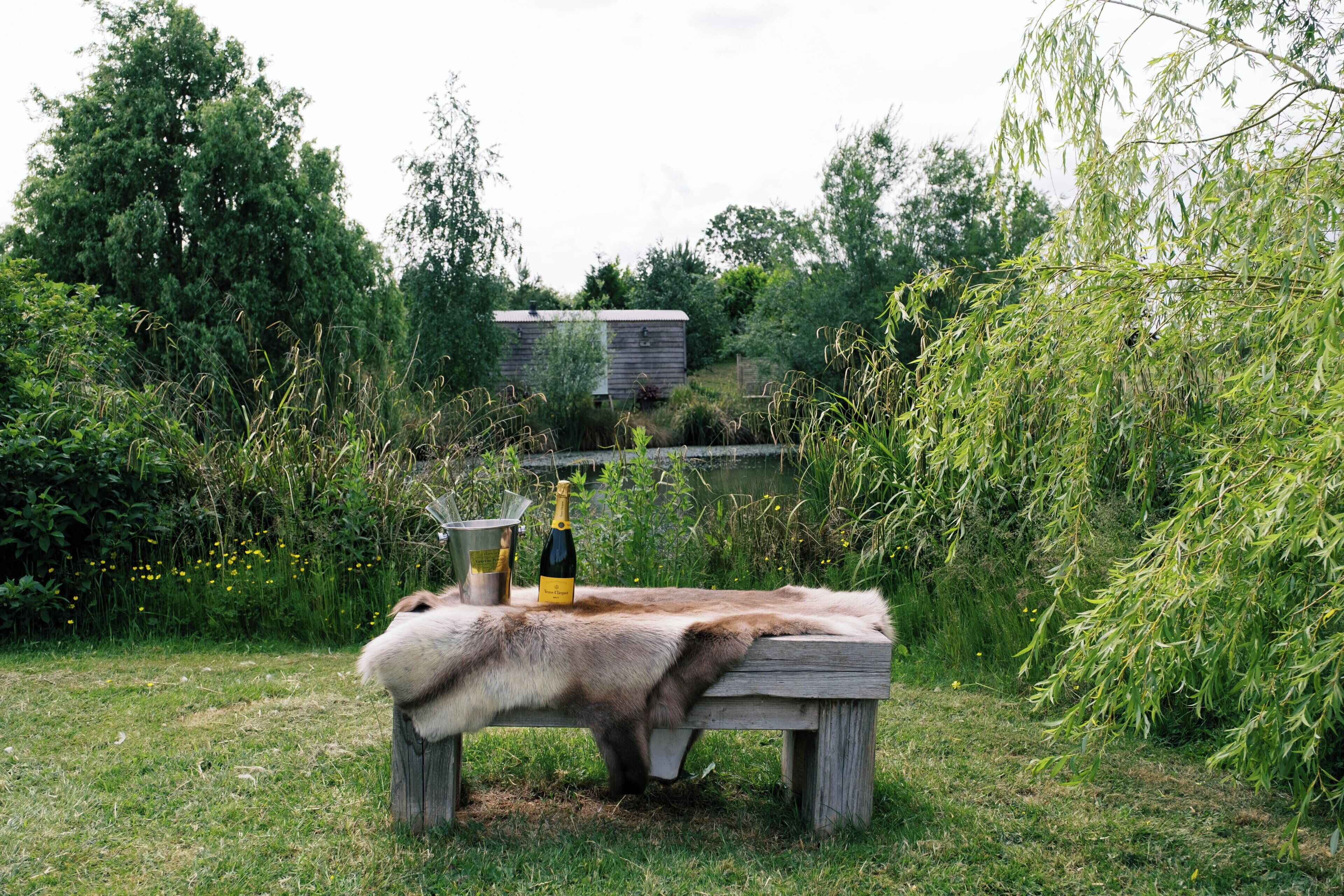 A wooden bench with a fur blanket, a bottle of champagne, and a bucket in a lush garden setting.