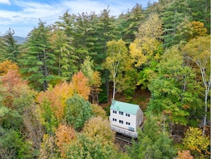 Een huis omringd door dicht bos met herfstkleuren.