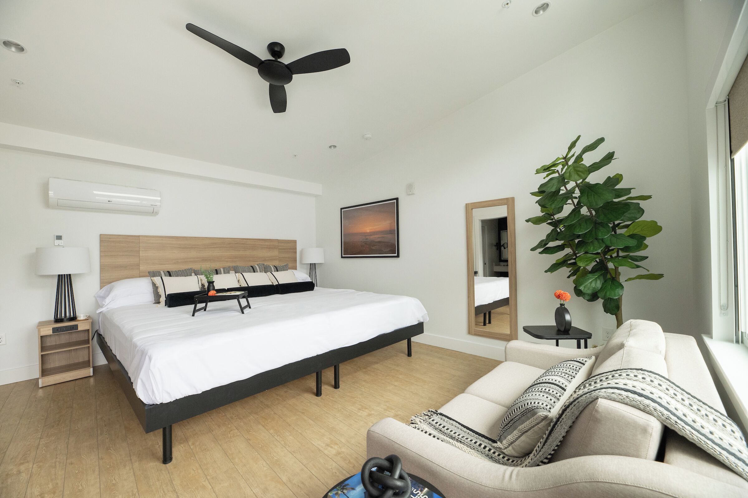 A modern bedroom with a bed, bedside tables, a ceiling fan, a large mirror, a sofa, and a potted plant.