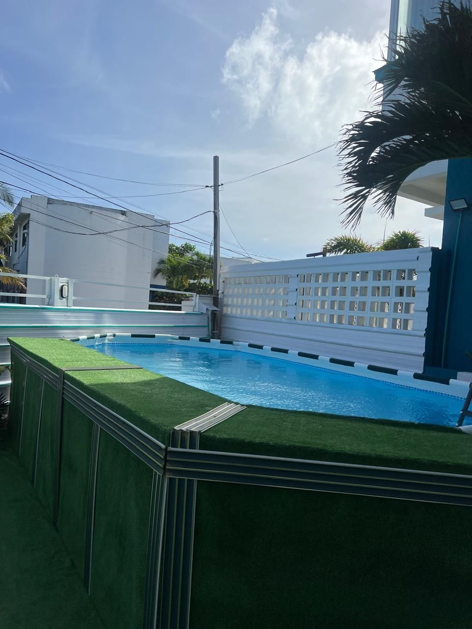 A swimming pool with a green deck, surrounded by a white fence and a palm tree.