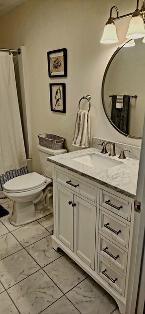 Hair dryer, towels, shampoo, toilet paper