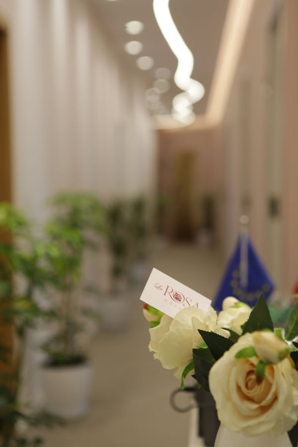 Hotel La Rosa - Tiranë
