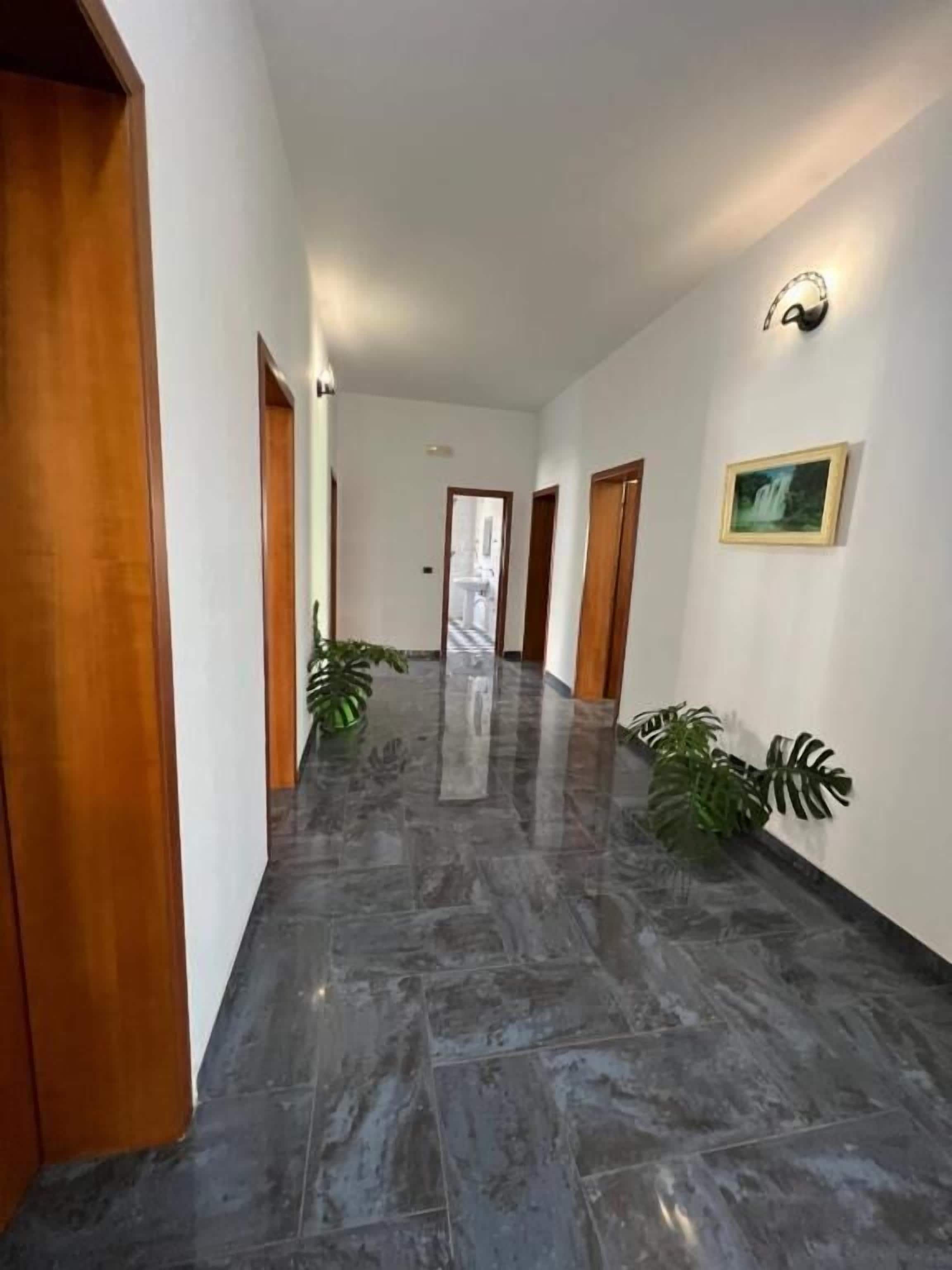 Un pasillo con suelo de mármol oscuro, puertas de madera y plantas en macetas.