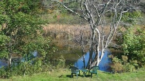A serene lakeside setting with two green chairs and a table, surrounded by lush greenery and a tree.