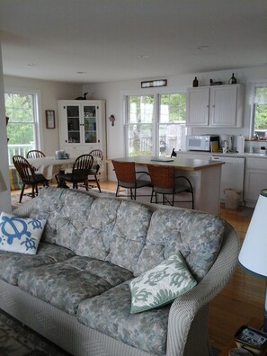 TV, fireplace, DVD player, books