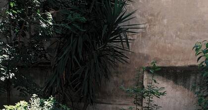 Newly Renovated Apartment in a Lush Green Neighborhood in Central Athens