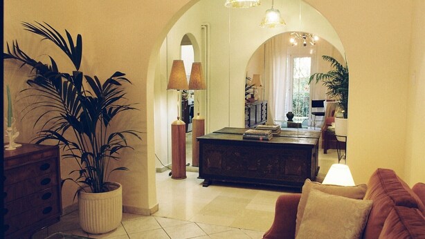 Un amplio salón con una planta grande en maceta, un sofá y una mesa de comedor.