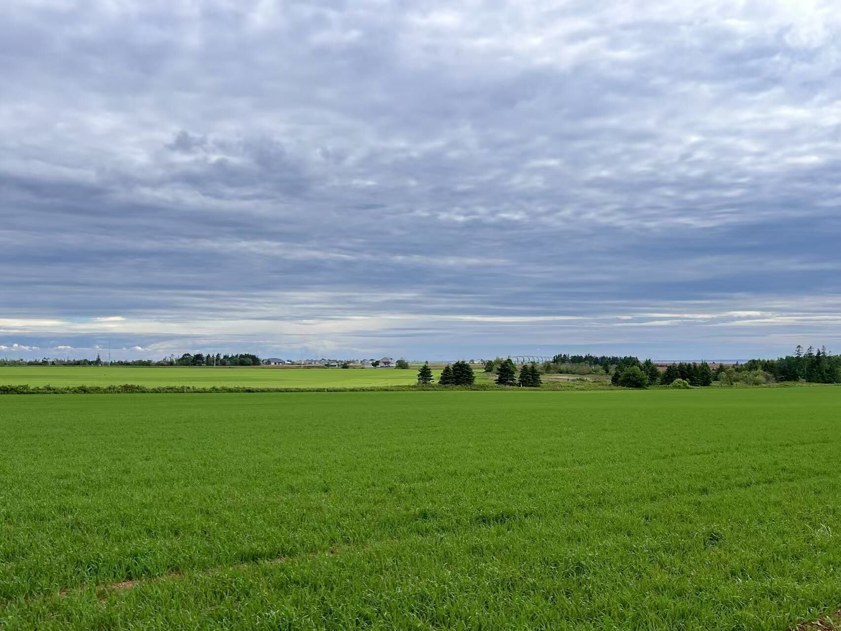 Un vaste champ verdoyant sous un ciel nuageux.