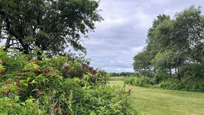 A lush green landscape with dense foliage and a grassy field. - 
Bridge View near Confederation Bridge and Beaches (Borden-Carleton)