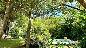 A lush garden with a variety of trees, including a prominent tree with yellow fruits and a palm tree. - Les Bergeries de Figari (Figari)