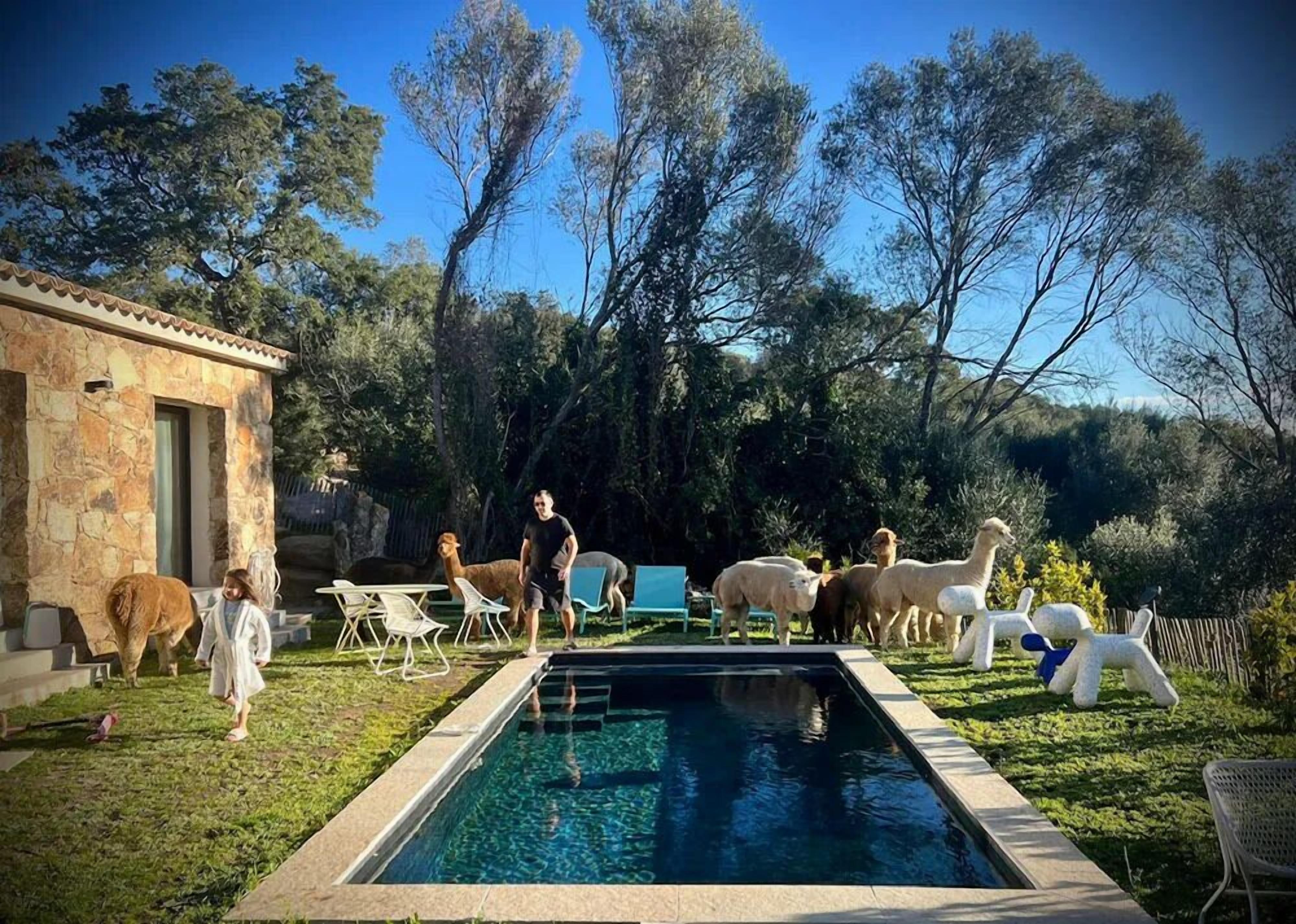 2 つの屋外プール