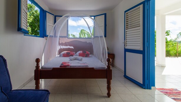 A room with a bed under a mosquito net, a chair, and a view of greenery outside.