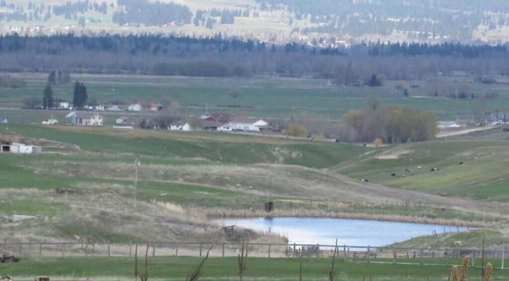 A rural landscape with a pond, open fields, and scattered buildings.