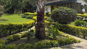 Ein gepflegter Garten mit einer markanten Palme, ordentlich geschnittenen Hecken und einem Gebäude mit einem Ziegeldach.
