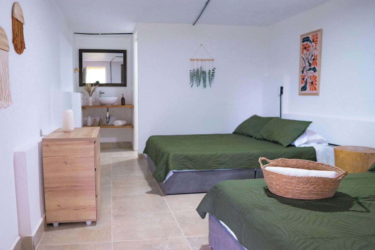 A bedroom with two beds, a wooden dresser, a mirror, and a hanging plant.