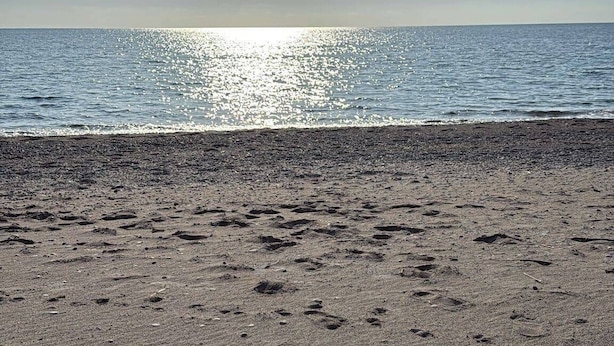 Cabin | Beach - Cozy Beach Villetta in Marina (Santa Maria del Cedro)