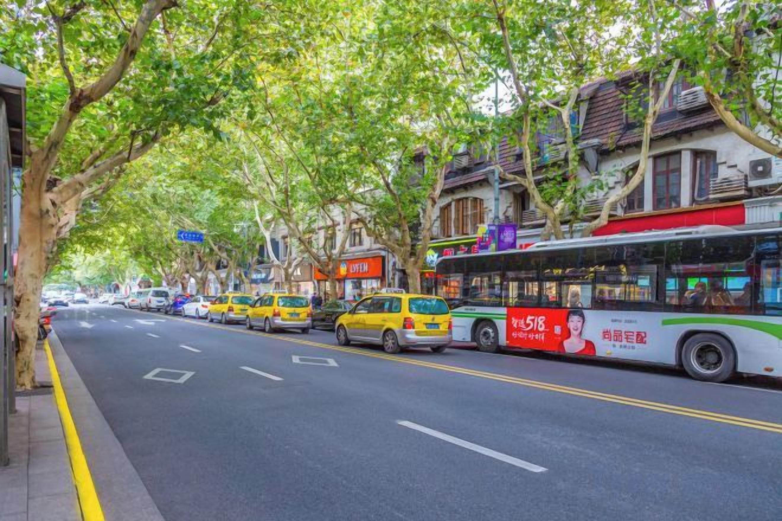 A street lined with trees and parked vehicles, including a bus and taxis.