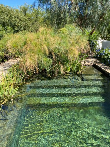 Buffelsdrift Farm The Main House