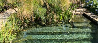 Buffelsdrift Farm The Main House