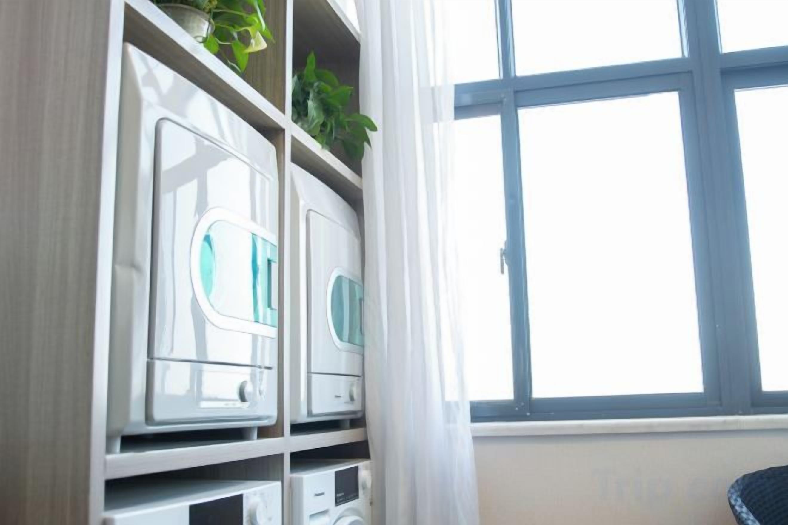 A room with a window, a white cabinet with drawers, and a plant on top.