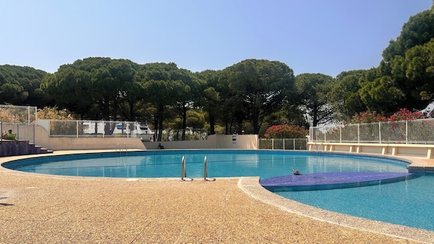 A swimming pool with a pebble deck, surrounded by trees and a fence.