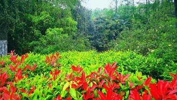 ์๋ฐ ์์ค ๊ตฌ๋ด