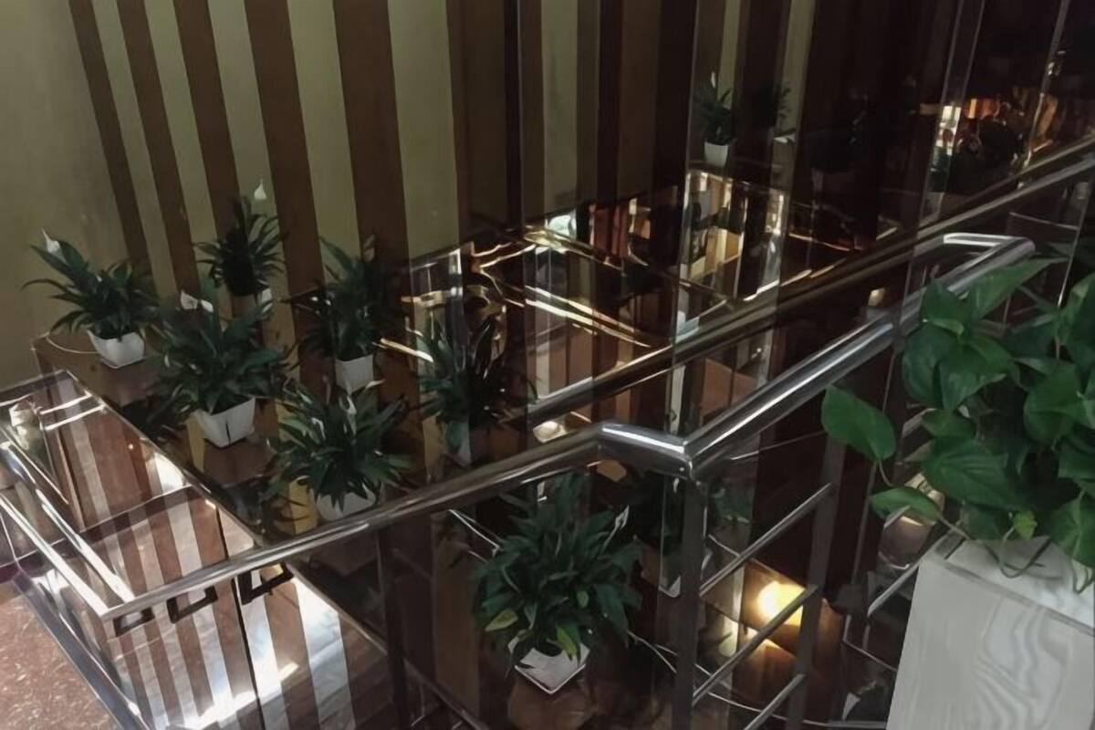 A multi-level interior with glass railings, potted plants, and a staircase.