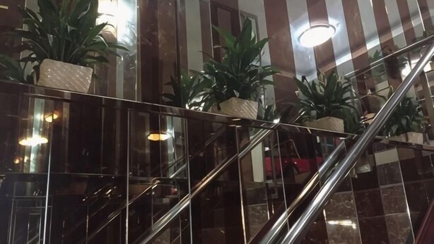 Una escalera de paredes de vidrio con barandales de metal y plantas en macetas.