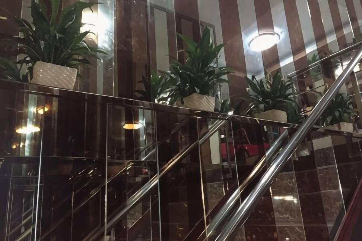 A glass-walled staircase with metal railings and potted plants.