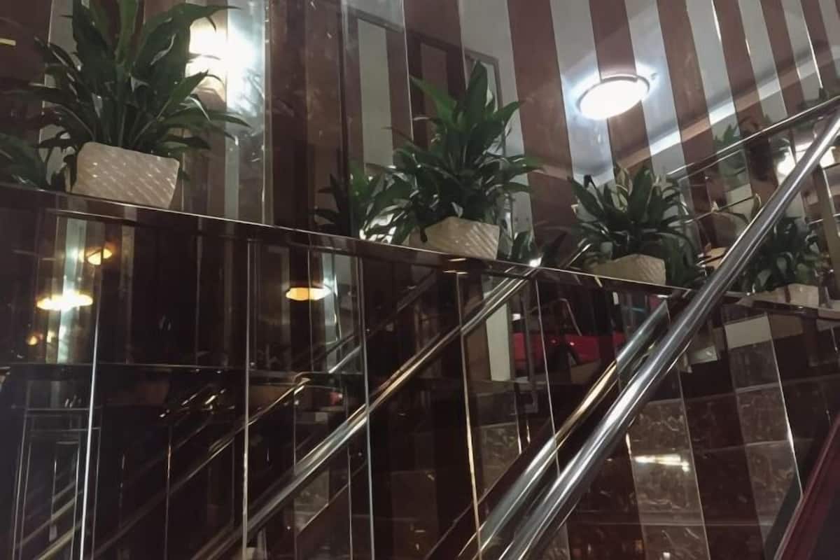 A glass-walled staircase with metal railings and potted plants.