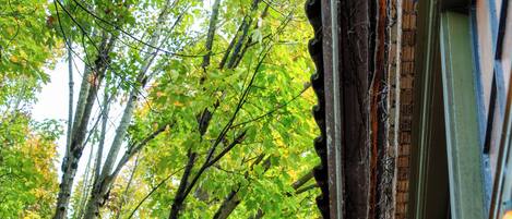 Außendetails