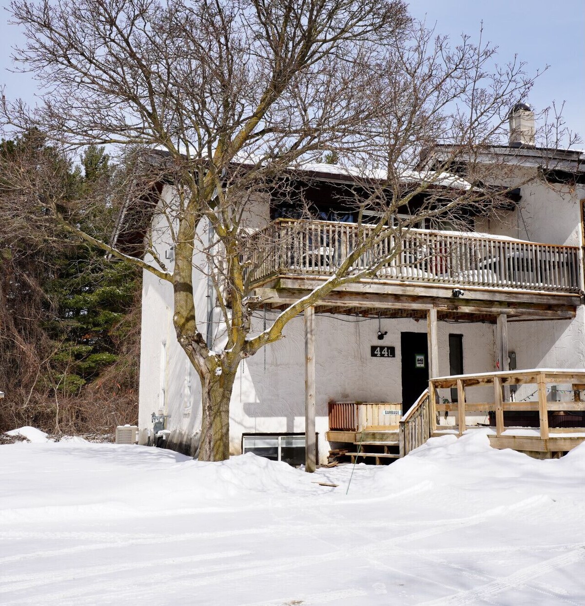 Imagen de perfil del propietario o de la propietaria