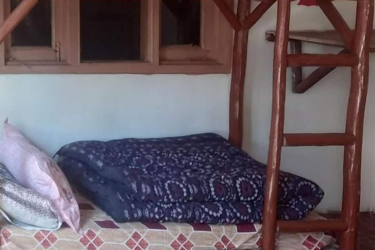 Un lit superposé avec une fenêtre au-dessus et une échelle sur le côté droit.