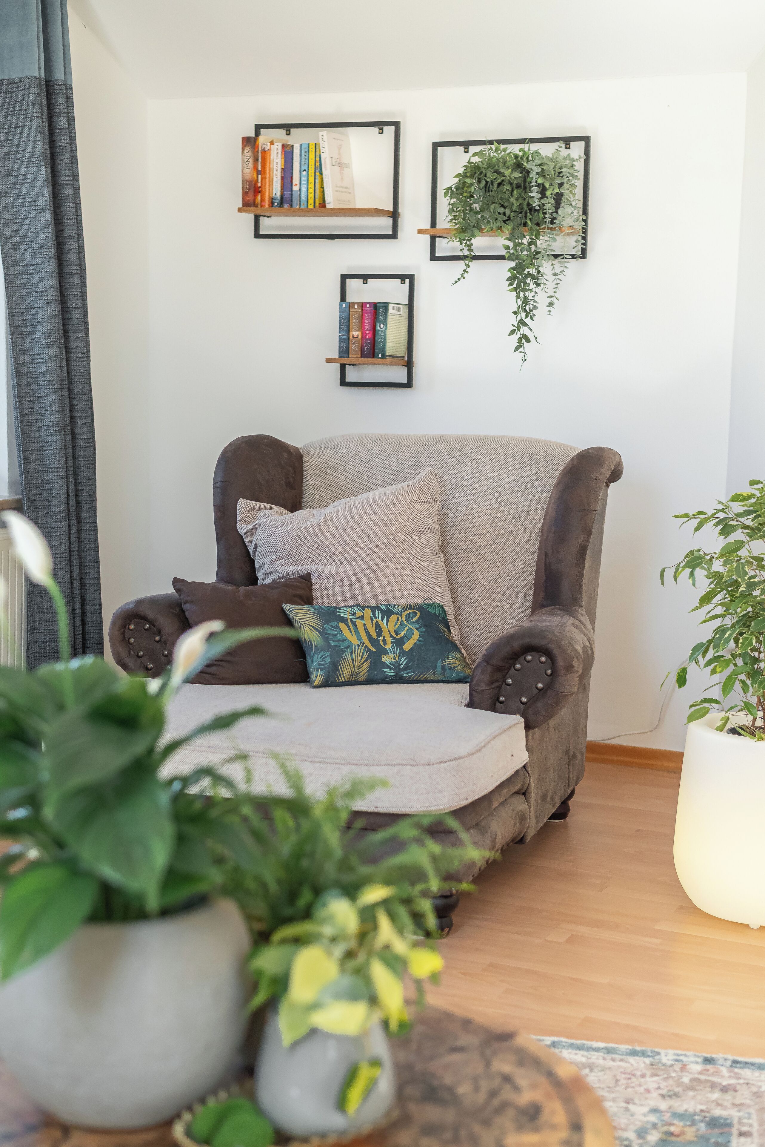 Een gezellige woonkamer met een bruine fauteuil, een boekenplank vol boeken en een hangplant.