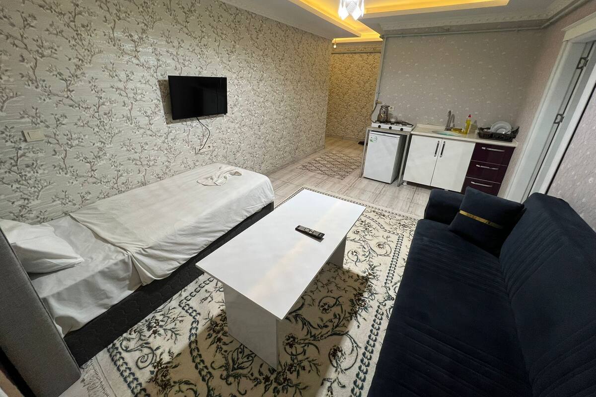 A compact living space with a sofa, a small table, a TV, a kitchenette, and patterned walls.