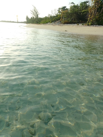 Klares, flaches Wasser, ein Sandstrand und üppige Bepflanzung.. Blue Song Villa