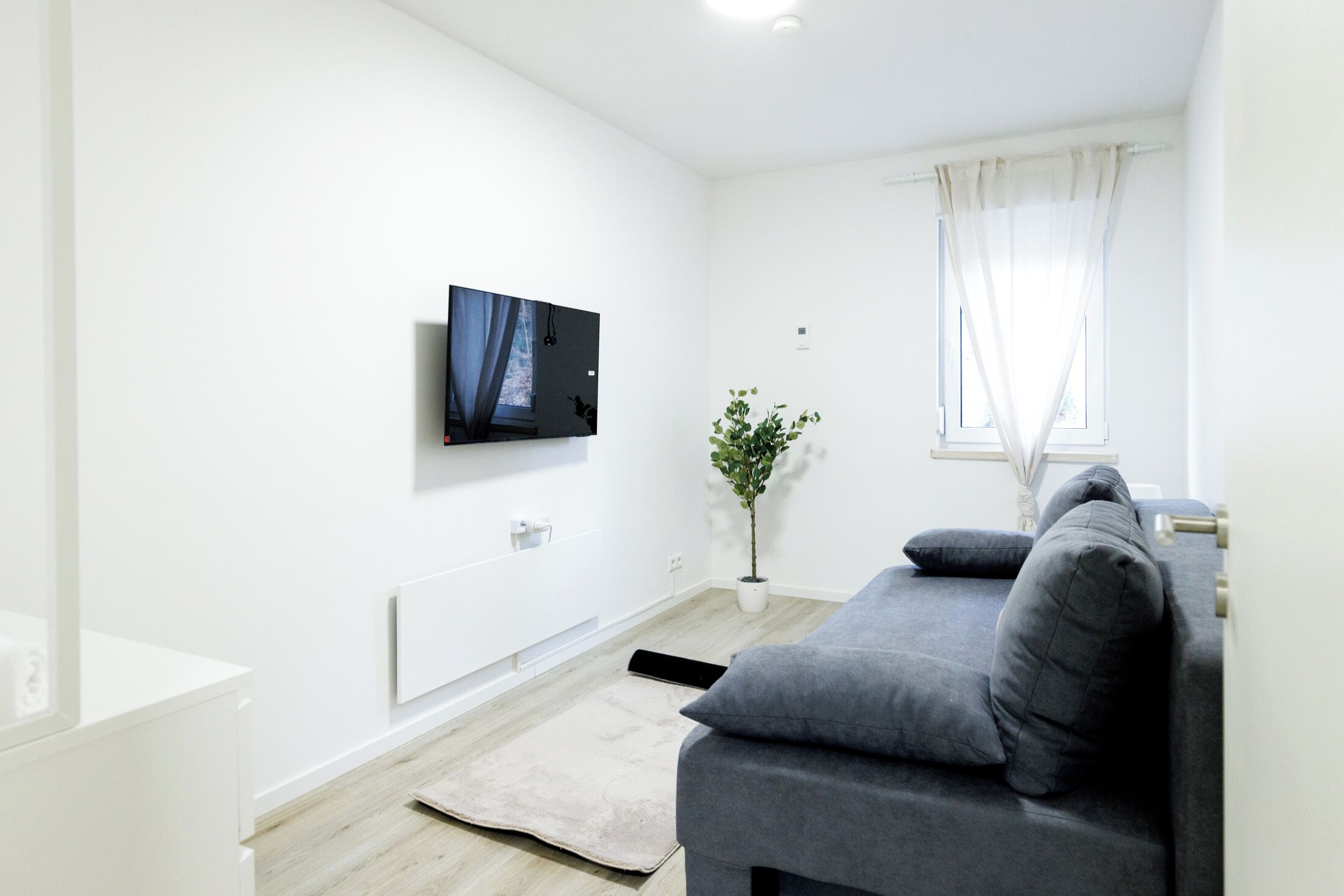 Ein modernes Wohnzimmer mit einem grauen Sofa, einem flachbildfernseher an der Wand, einer Zimmerpflanze und einem Fenster mit durchsichtigen Vorhängen.