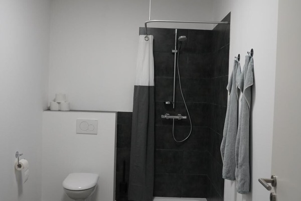 Douche, serviettes fournies, papier toilette