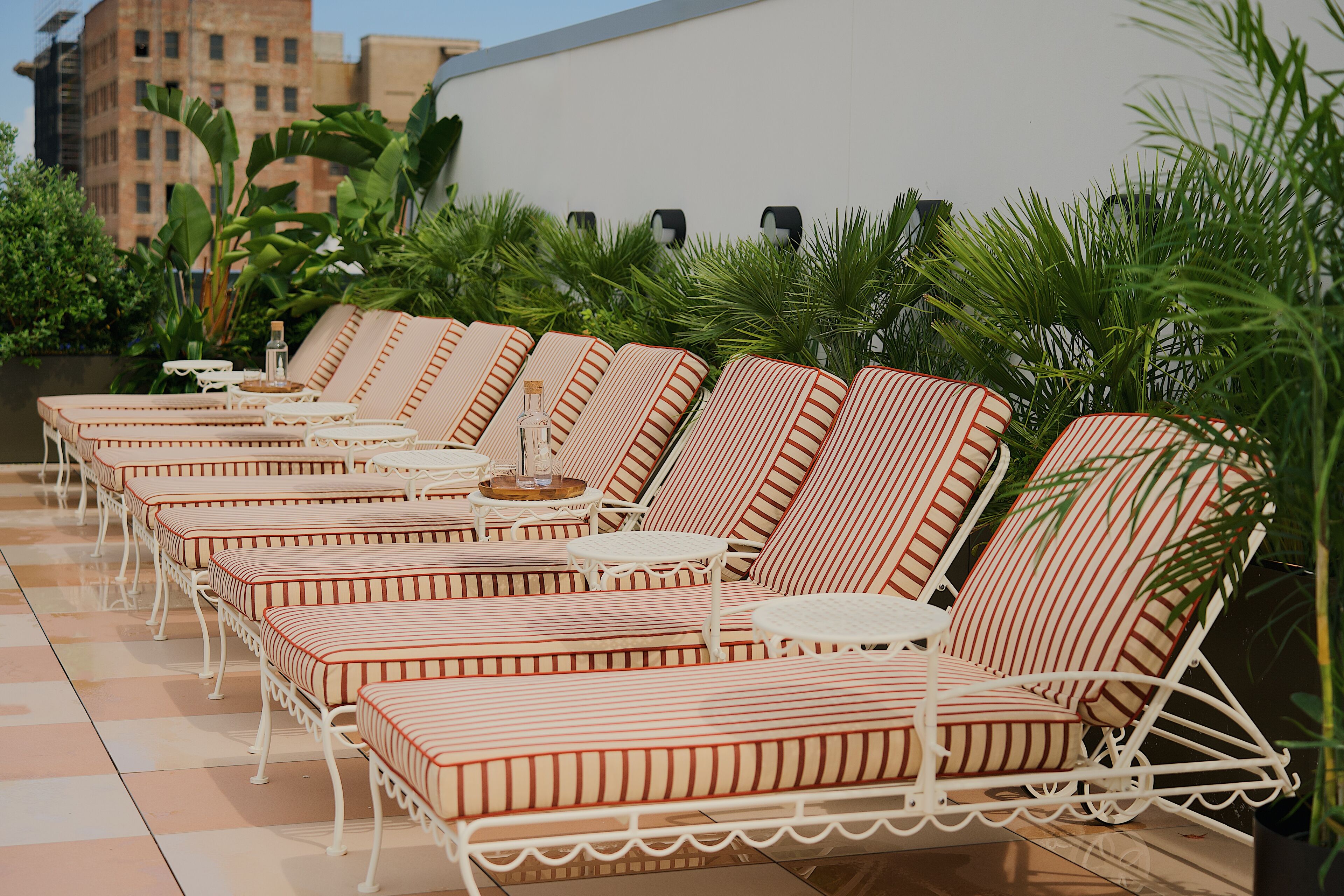 A row of striped lounge chairs with white metal frames and cushions, arranged on a tiled patio with palm plants in the background.