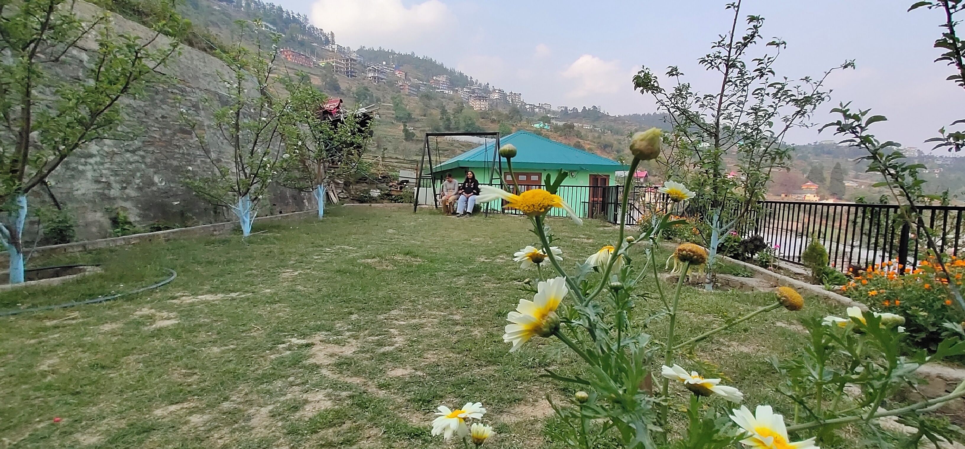 A grassy area with a swing set and a house with a green roof.