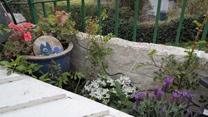 Un jardin agrémenté de diverses plantes et fleurs, un mur en pierre et une clôture métallique verte.