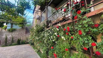 Teras/patio