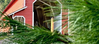 Westfir Lodge & Mountain Market