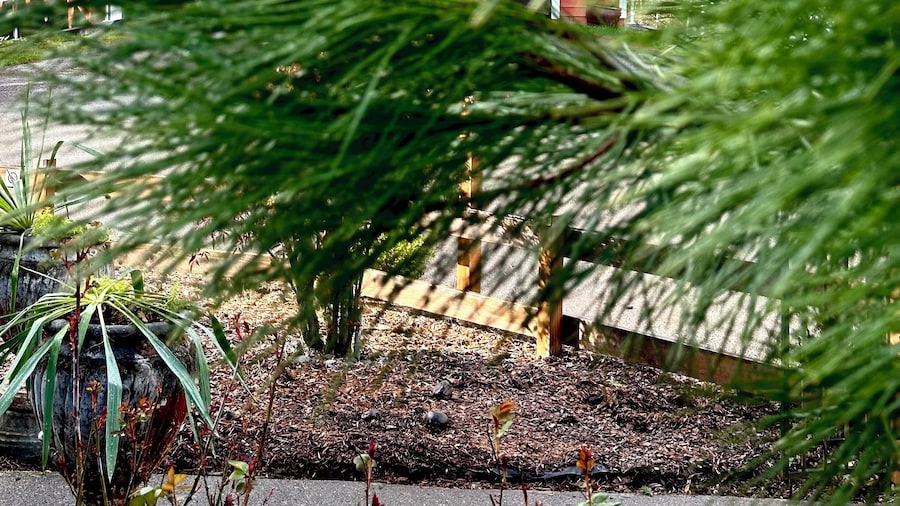 Westfir Lodge & Mountain Market