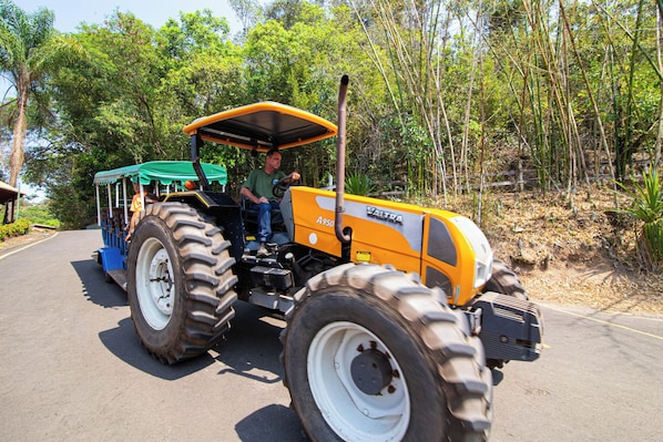 A yellow tractor with a green canopy, parked on a paved road with trees in the background. - Hotel Fazenda Fonte Colina Verde (São Pedro)