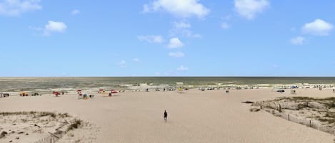Relax on the beach with sun loungers and umbrellas, surrounded by dunes and a lifeguard tower.