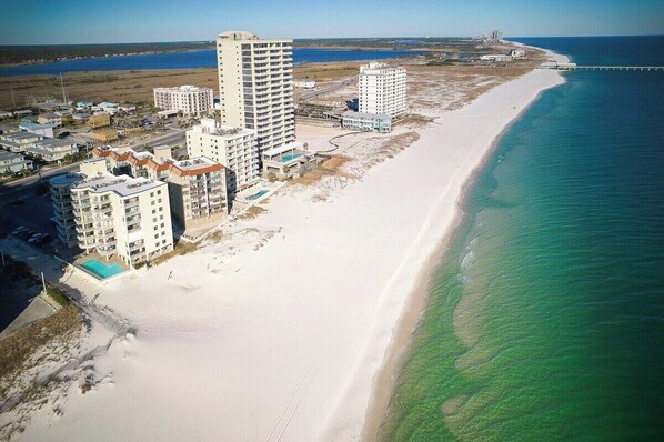 On the beach - Beach Front 3BR Condo | Gorgeous Views | Whaler 2D (Gulf Shores)