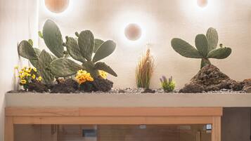 A cactus terrarium with a wooden base and a wall-mounted light fixture.