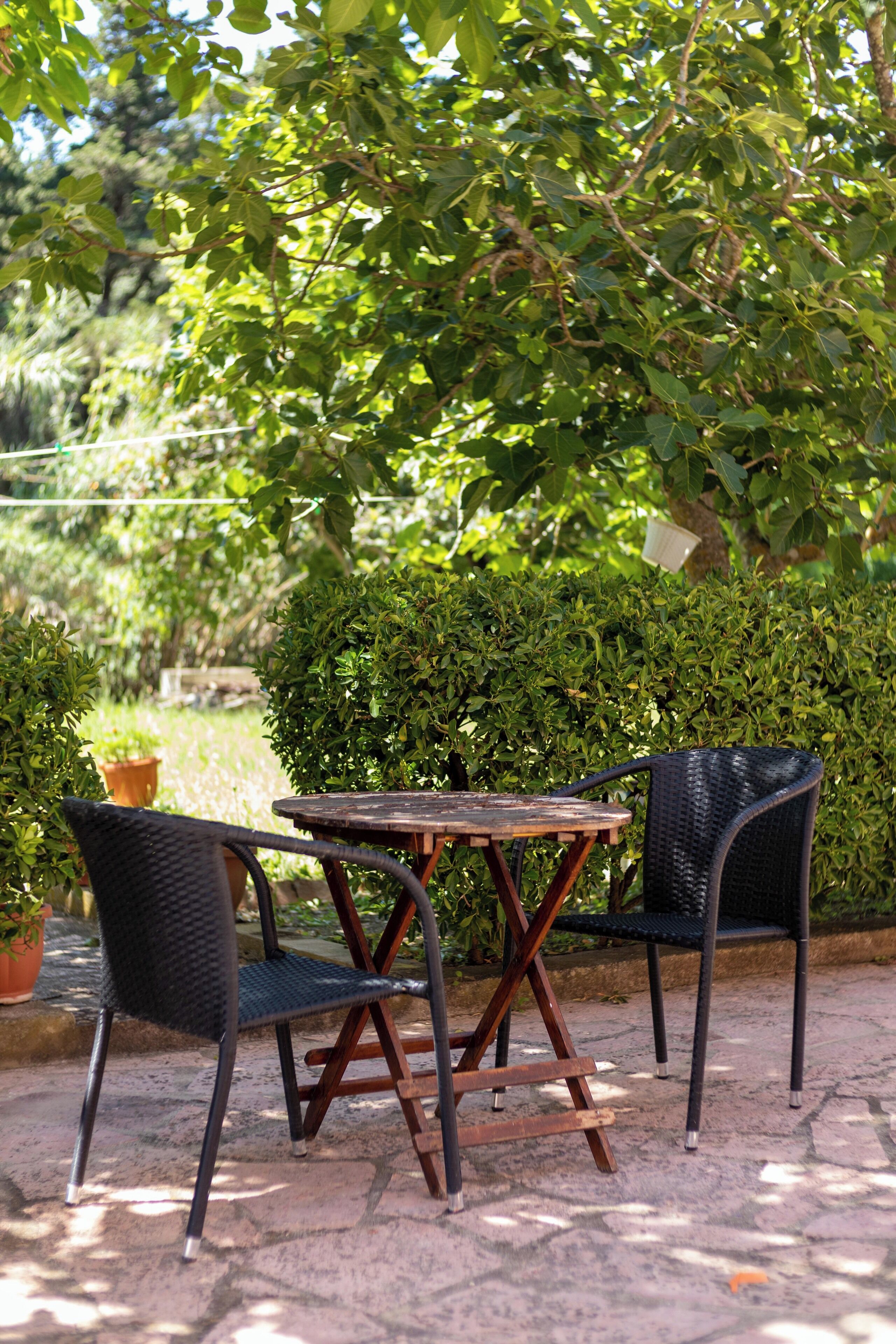 Une terrasse extérieure avec une table ronde en bois et deux chaises, entourée d’une végétation luxuriante et d’une haie.