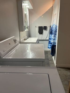 Secador de pelo, papel higiénico